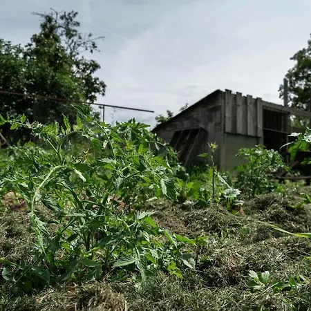 Maison Et Piscine En Bordure De Riviere Avec Parc Nalliers (Vienne)