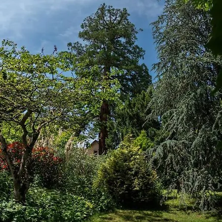 Maison Et Piscine En Bordure De Riviere Avec Parc וילה Nalliers (Vienne)